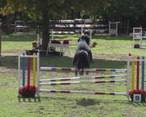 Reitturnier Würselen-Pley 2018
