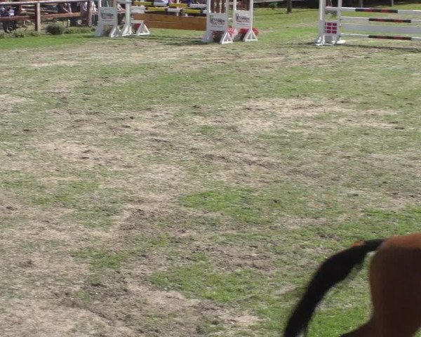 Reitturnier Würselen-Pley 2018