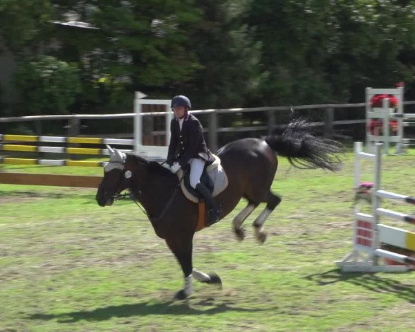 Reitturnier Würselen-Pley 2018