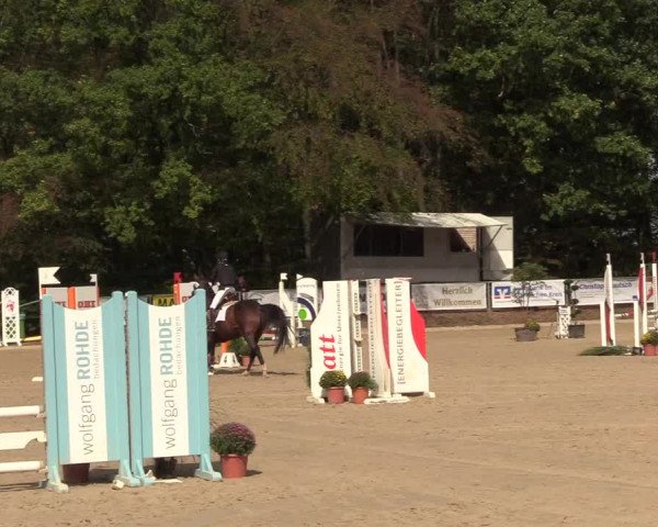 Reitturnier Meinerzhagen 2018