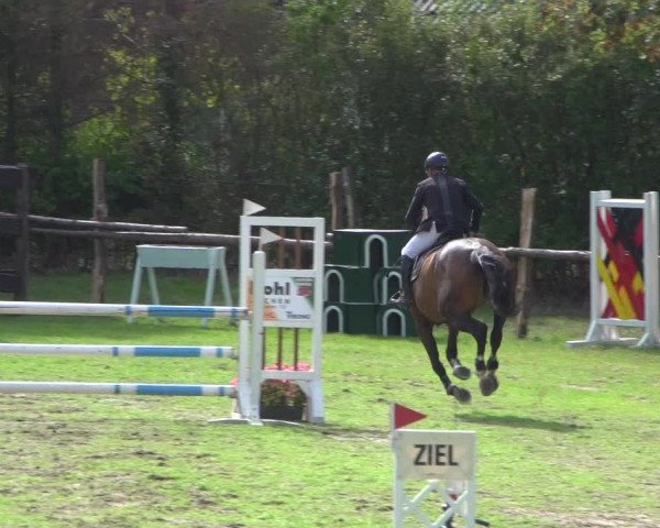Reitturnier Würselen-Pley 2018