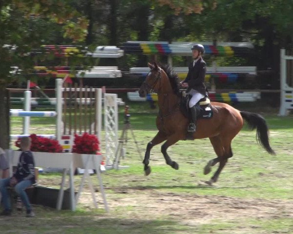 Reitturnier Würselen-Pley 2018