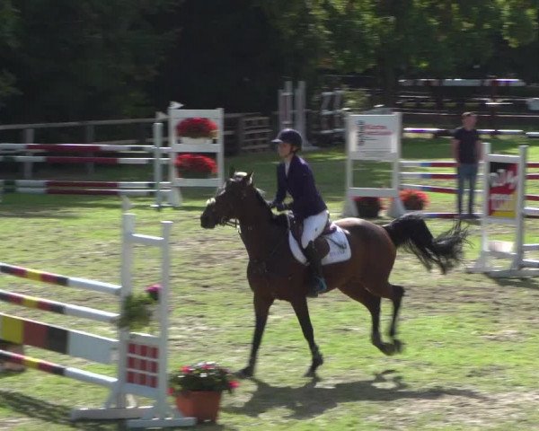 Reitturnier Würselen-Pley 2018