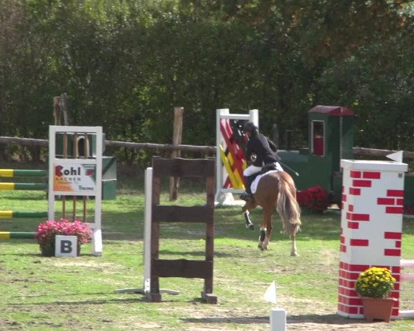 Reitturnier Würselen-Pley 2018