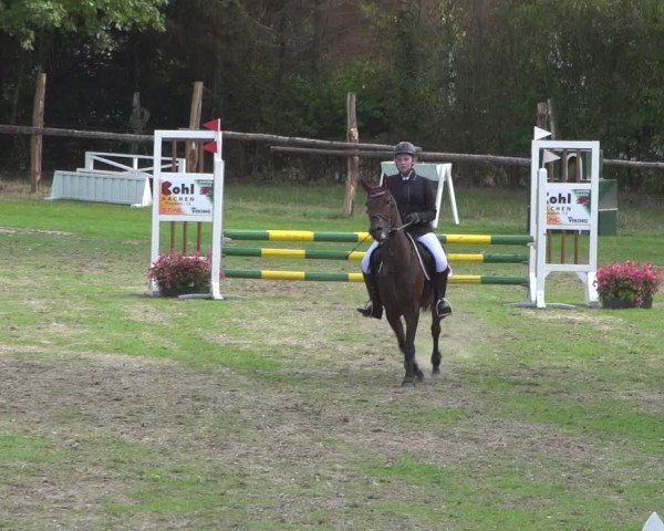 Reitturnier Würselen-Pley 2018