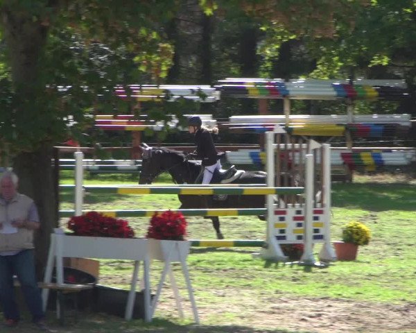Reitturnier Würselen-Pley 2018