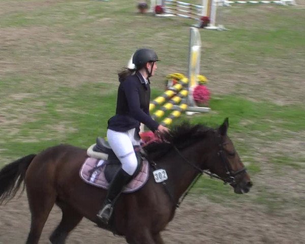 Reitturnier Würselen-Pley 2018