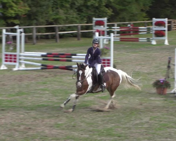 Reitturnier Würselen-Pley 2018