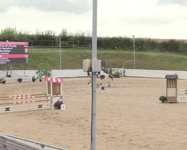 Witzheldener Reitertage 2018