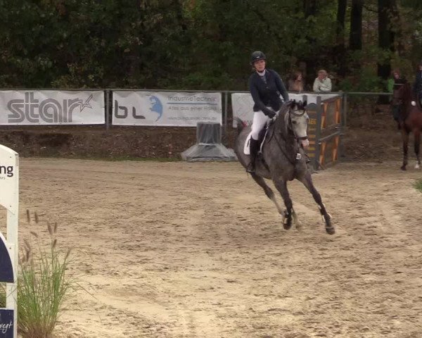 Reitturnier Meinerzhagen 2018