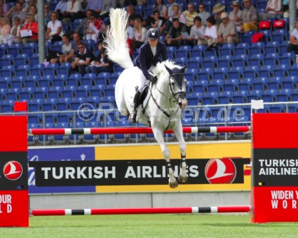 Deckhengst Cloudbreak (Belgisches Warmblut, 2004, von Heartbreaker)