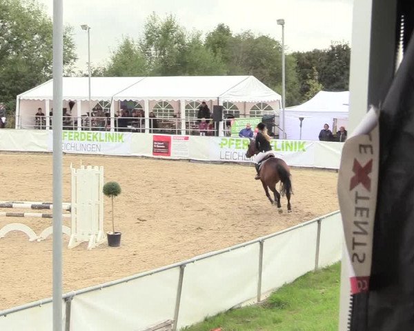 Witzheldener Reitertage 2018
