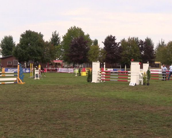 17. Reitertage Münchehofe