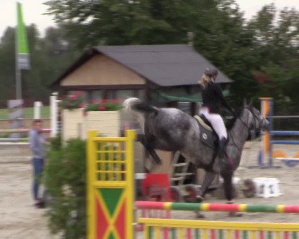 Reitturnier Appelhülsen 2018