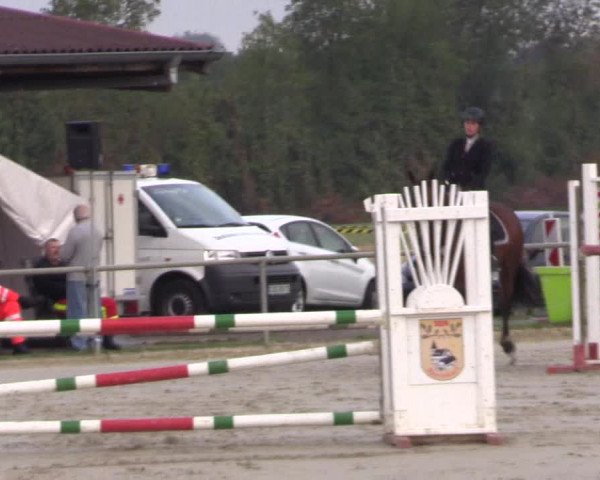Reitturnier Appelhülsen 2018