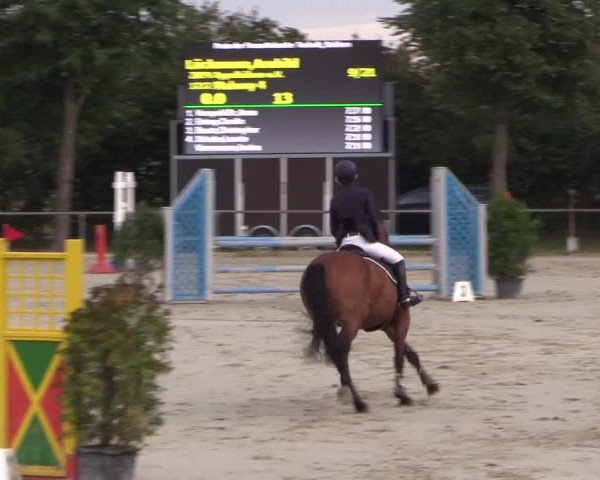 Reitturnier Appelhülsen 2018