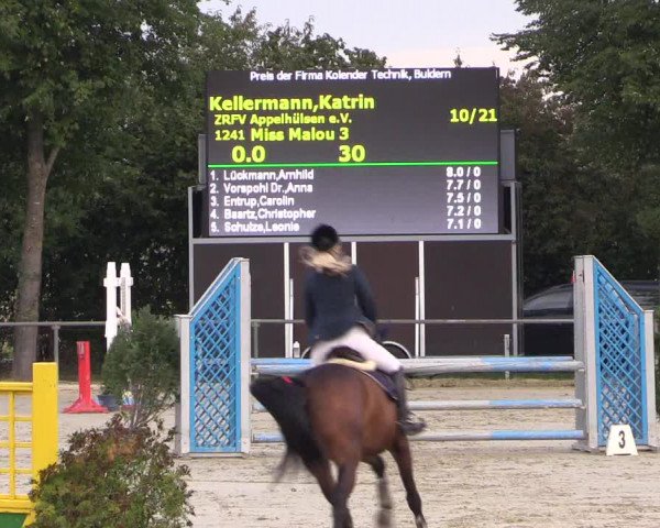 Reitturnier Appelhülsen 2018