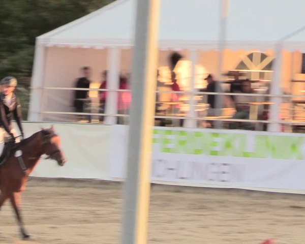 Witzheldener Reitertage 2018