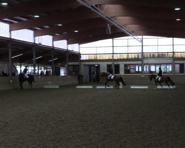 Reitturnier Appelhülsen 2018