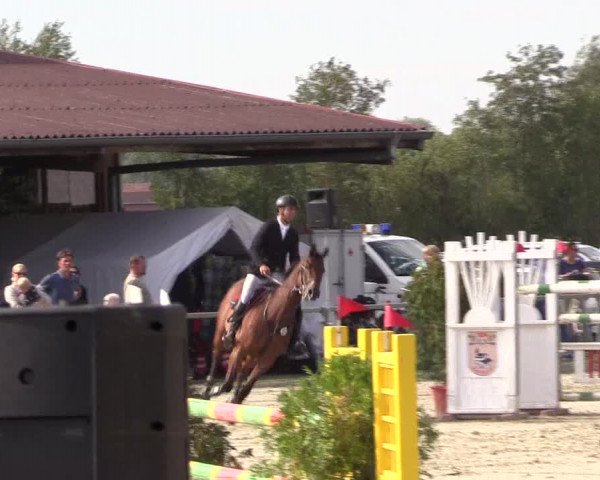 Reitturnier Appelhülsen 2018