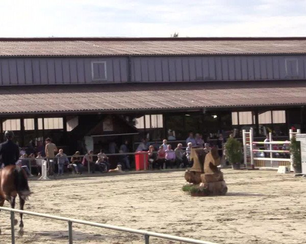 Reitturnier Appelhülsen 2018