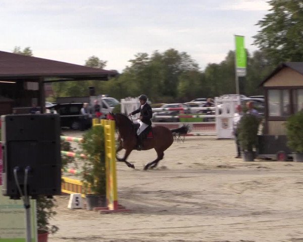 Reitturnier Appelhülsen 2018