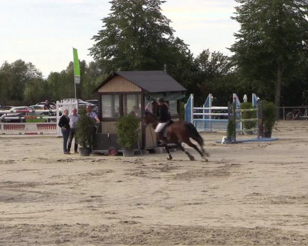 Reitturnier Appelhülsen 2018