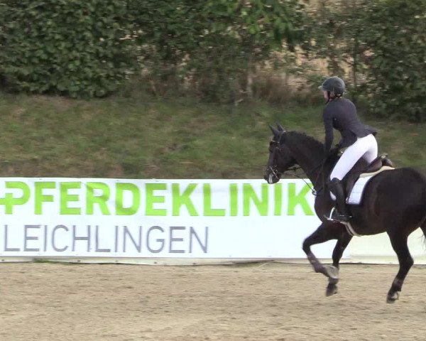 Witzheldener Reitertage 2018