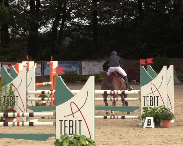 Reitturnier Meinerzhagen 2018