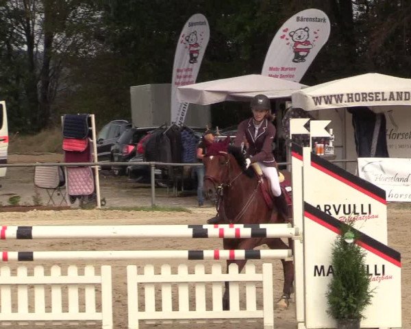 Reitturnier Meinerzhagen 2018