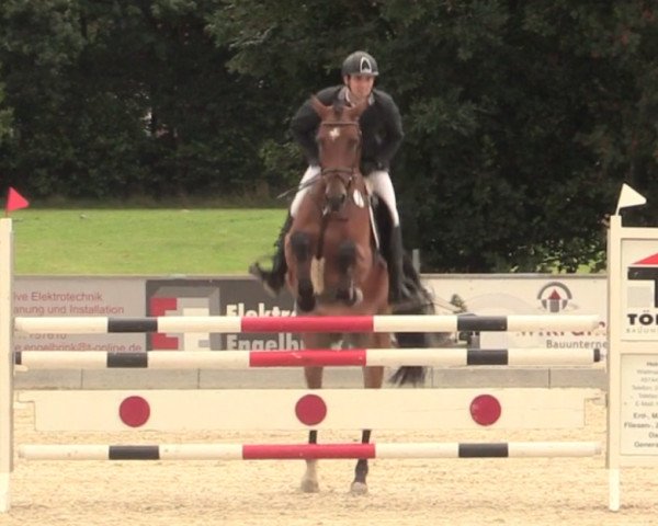jumper Come And Feel (Westphalian, 2011, from Comme il Faut)