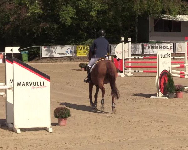 Reitturnier Meinerzhagen 2018