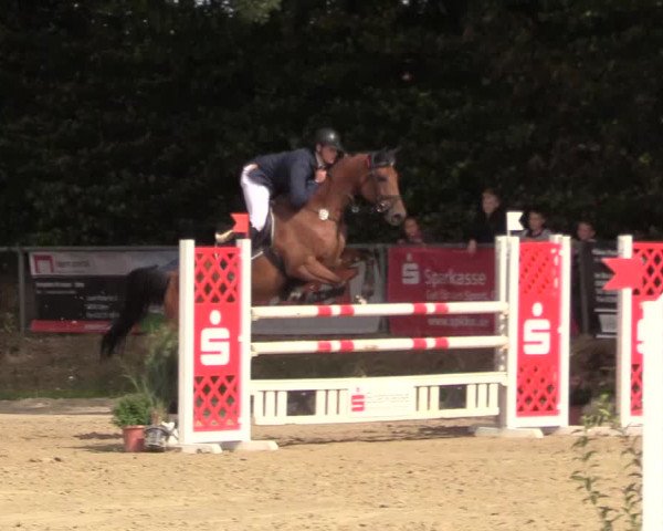 Reitturnier Meinerzhagen 2018
