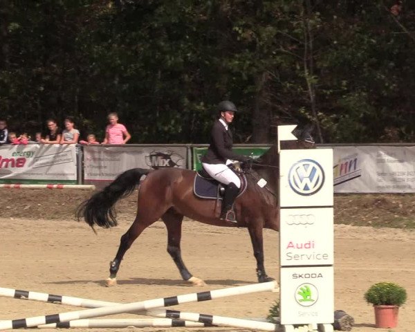 Reitturnier Meinerzhagen 2018