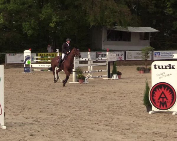 Reitturnier Meinerzhagen 2018