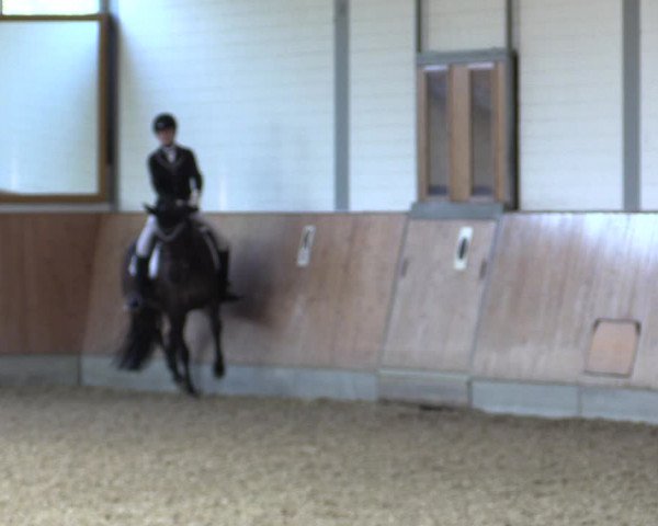 Reitturnier Gut Hohenkamp / Dorsten 2018