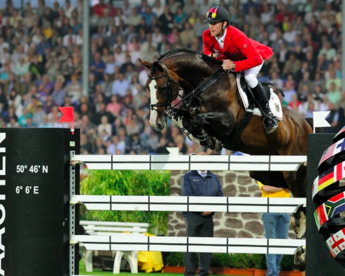 Deckhengst Plot Blue (KWPN (Niederländisches Warmblut), 1997, von Mr Blue)