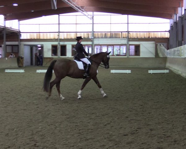 Reitturnier Appelhülsen 2018