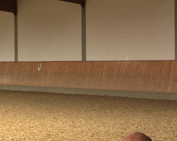Reitturnier Gut Hohenkamp / Dorsten 2018
