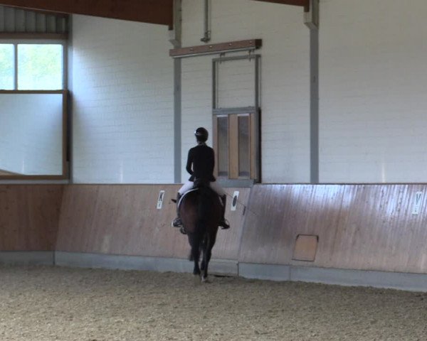 Reitturnier Gut Hohenkamp / Dorsten 2018