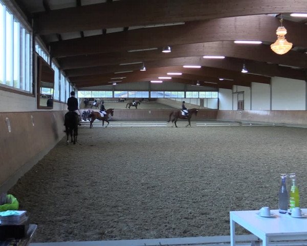Reitturnier Gut Hohenkamp / Dorsten 2018
