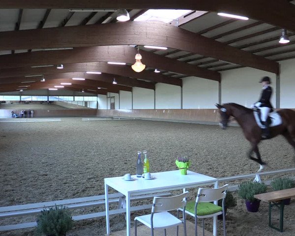 Reitturnier Gut Hohenkamp / Dorsten 2018