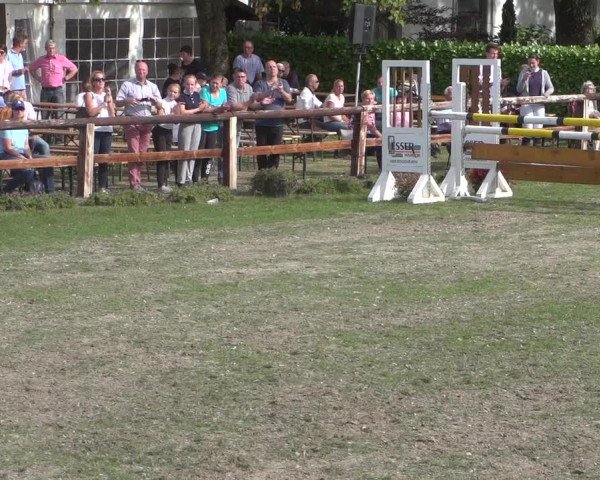 Reitturnier Würselen-Pley 2018
