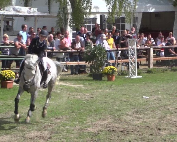 Reitturnier Würselen-Pley 2018