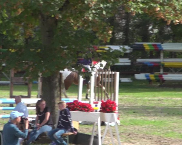Reitturnier Würselen-Pley 2018