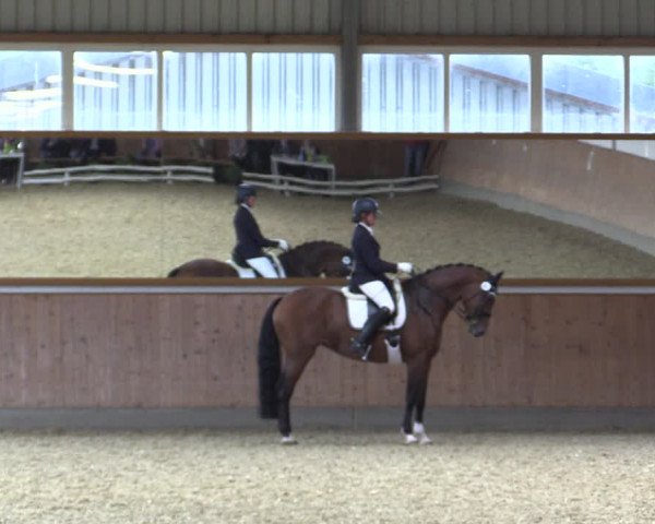 Reitturnier Gut Hohenkamp / Dorsten 2018