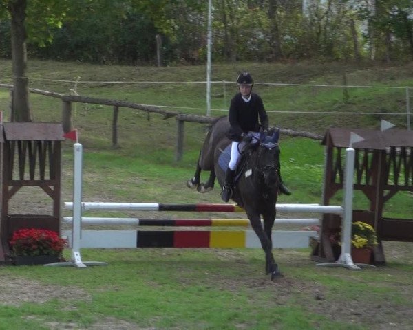 Reitturnier Würselen-Pley 2018