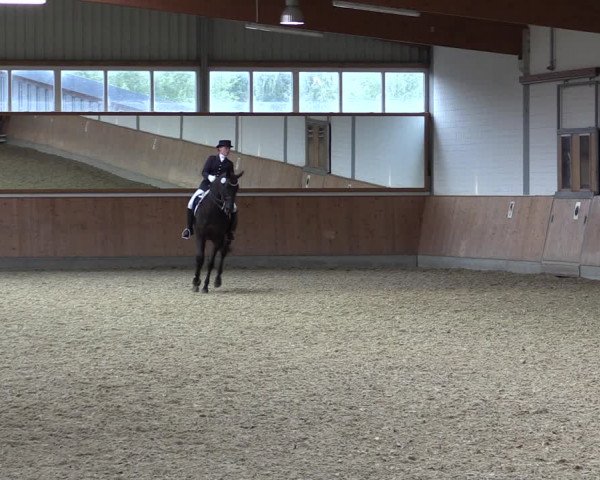 Reitturnier Gut Hohenkamp / Dorsten 2018