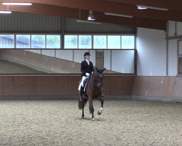 Reitturnier Gut Hohenkamp / Dorsten 2018