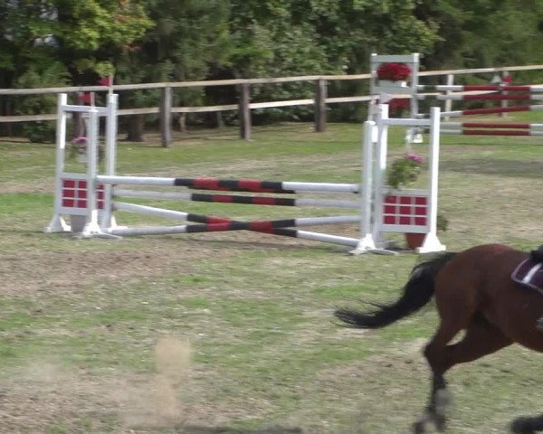 Reitturnier Würselen-Pley 2018